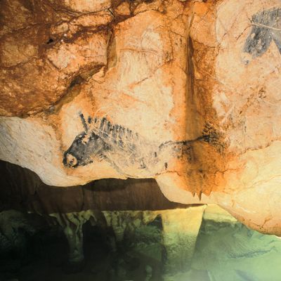Peintures rupestres réalisées il y a environ 25 000 ans. Grotte Cosquer, cap Morgiou, massif des Calanques.