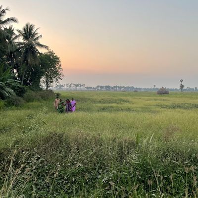 Les campagnes de l'Andhra Pradesh se convertissent à l'agroécologie