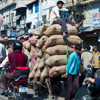 New Delhi est la capitale la plus polluée du monde. Les motos et scooters contribuent largement à l'émission de particules fines.