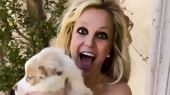 Britney Spears sur les réseaux sociaux : en rire ou en pleurer ? ©Maxppp - B4859 / Avalon