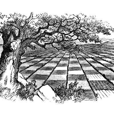 Through The Looking Glass And What Alice Found There (Sir John Tenniel)