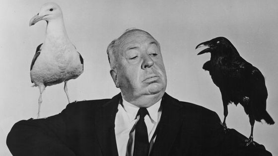 Alfred Hitchcock pose pour la promotion du film "The Birds" (Les Oiseaux) 1963 ©Getty - Hulton Archive