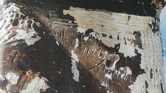 En octobre 2020, on découvre une nouvelle signature sur le buste de la Marianne noire, celle de Jean Sül Abadie. Qui était-il ? - Musée départemental de la Résistance et de la Déportation de Toulouse