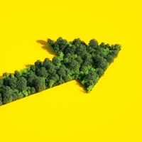 La planification écologique