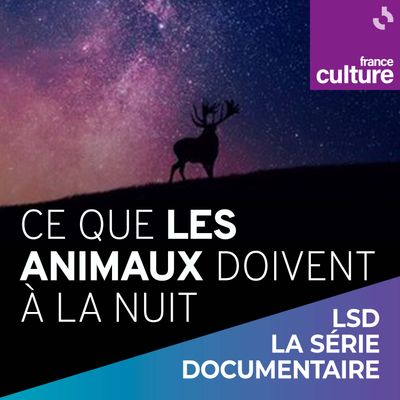 Ce que les animaux doivent à la nuit