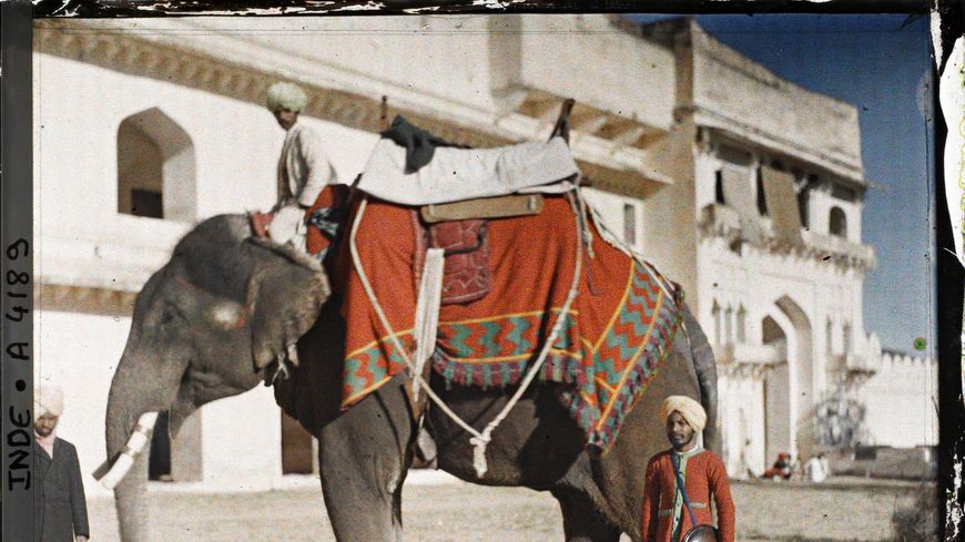 Un éléphant (sur l'esplanade du palais?), Amber, Indes, 1913.