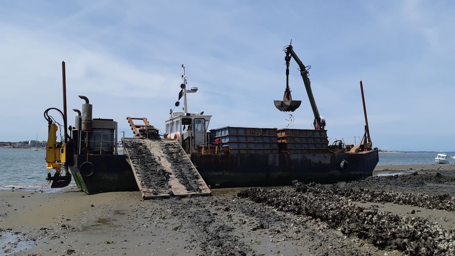 Bassin d'Arcachon : le tr�s lourd chantier de r�habilitation des friches ostr�icoles