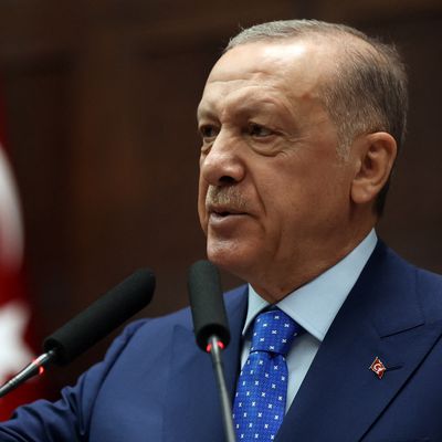 Le président turc, Recep Tayyip Erdogan, a dit espérer que les autres Etats de l'organisation entendraient ses "inquiétudes"