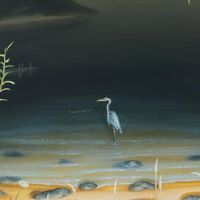 For The Birds: The Birdsong Project