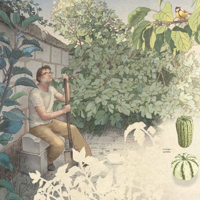 Extrait de "Voyages dans mon jardin", illustré et écrit par Nicolas Jolivot