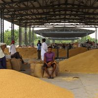 Le marché aux grains de New Delhi, alors que l'Inde, par mesure protectionniste vient de bloquer toute exportation de blé
