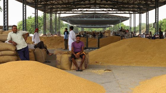 Le marché aux grains de New Delhi, alors que l'Inde, par mesure protectionniste vient de bloquer toute exportation de blé ©AFP - Amarjeet Kumar Singh / ANADOLU AGENCY / Anadolu Agency via AFP