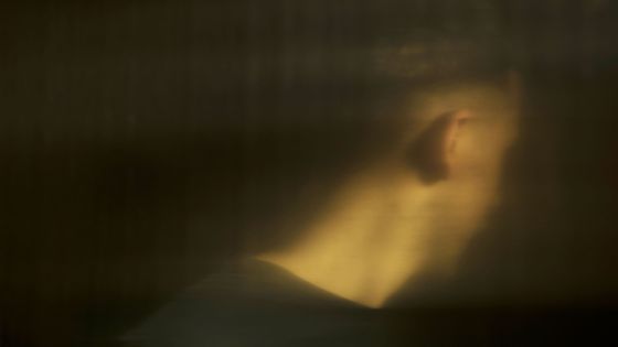 "Le beau parleur" de Dominique Sylvain ©Getty - Jonathan Knowles