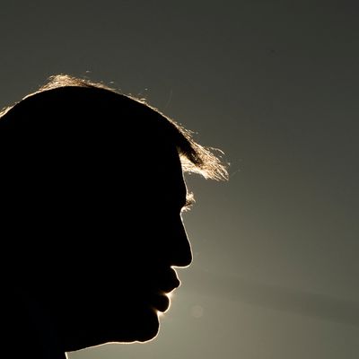 Donald Trump est de retour