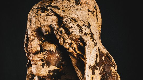 Buste de la Marianne noire exposée au Musée de la Résistance et de la Déportation de Toulouse - Aurélien Ferreira