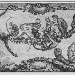Les Primates, dans le livre: Illustrations de Histoire naturelle générale et particulière avec la description du Cabinet du Roy Tome XIV, 1766
