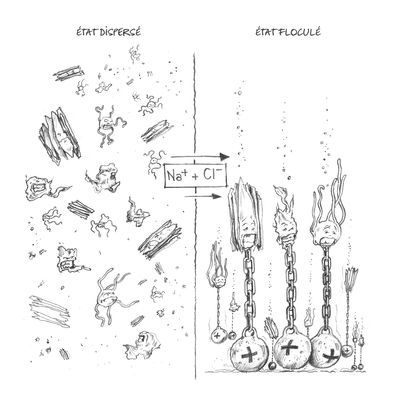 Illustration pour L'Origine du monde