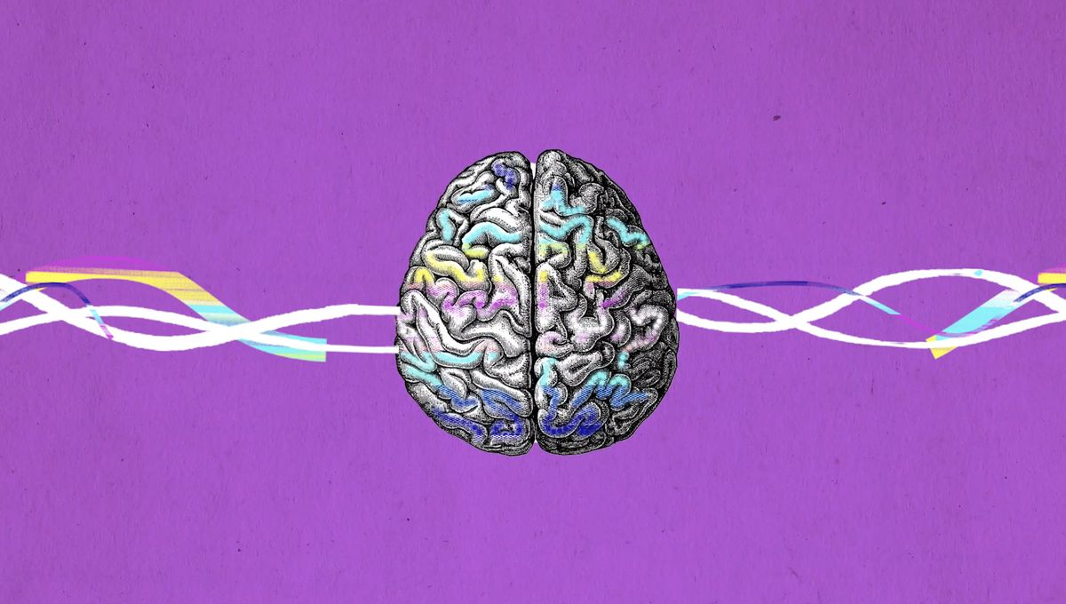 VIDÉO - Le frisson musical, une explosion dans le cerveau