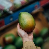 Toute l'Inde contenue dans une mangue