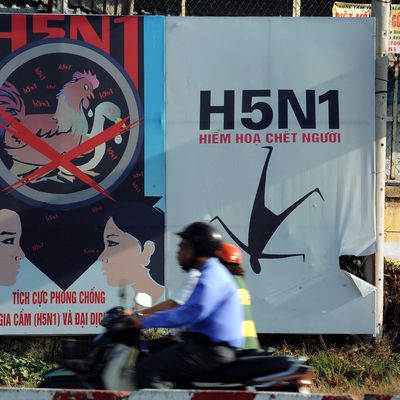 Affichage de prévention contre l'épidémie de H5N1 en février 2009 dans la ville de Ho Chi Minh, au Vietnam