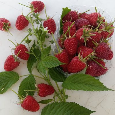 La framboise