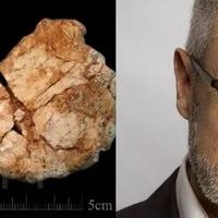 La mandibule Irhoud 11 trouvée lors des fouilles du site, Jebel Irhoud / Jean-Jacques Hublin