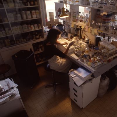 En 1983, en pleine Guerre-Froide, le KGB lance une rumeur selon laquelle le virus du SIDA aurait été créé en laboratoire aux Etats-Unis