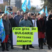 Rassemblement sous l'égide du Modef, le Mouvement de défense des exploitants familiaux à Mont-de-Marsan dans les Landes en 2017