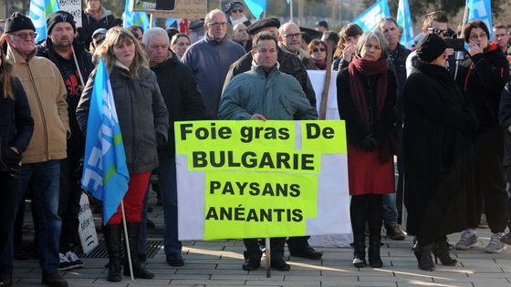 Rassemblement sous l'égide du Modef, le Mouvement de défense des exploitants familiaux à Mont-de-Marsan dans les Landes en 2017 ©AFP - Gaizka IROZ