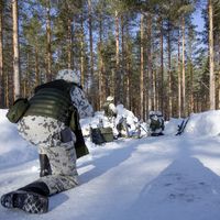 L'armée finlandaise a effectué des manoeuvres en mars dernier en Karélie près de la frontière russe