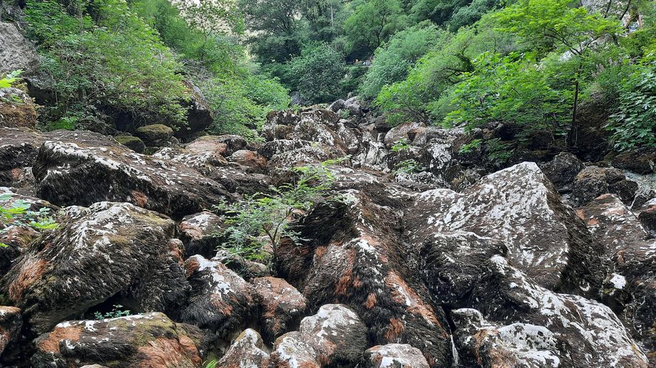 PHOTOS - La source de la Sorgue � Fontaine-de-Vaucluse, barom�tre de la s�cheresse 