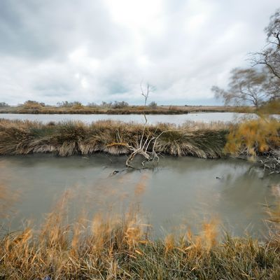 Paysage de camargue