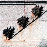 Abeilles sur un bas-relief de la Villa San Martino, résidence d'été de Napoléon, sur l'Île d'Elbe