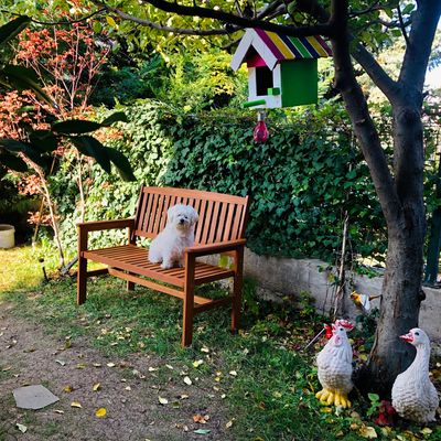 L’évènement "Rendez-vous aux jardins" (image d'illustration)