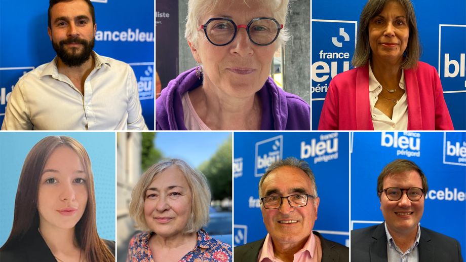 L�gislatives en Dordogne : qui sont les candidats qui veulent devenir d�put� de la 4e circonscription