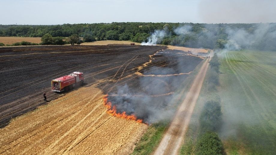 Jou�-sur-Erdre : 4 hectares de champ d'orge br�l�s ce samedi