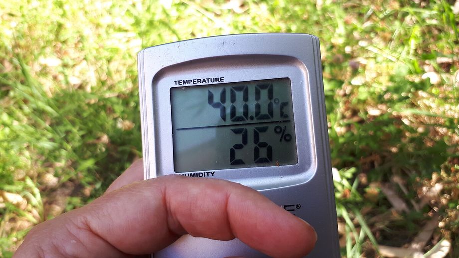 40 degr�s � N�mes au mois de juin : combien de fois est-ce arriv� ?