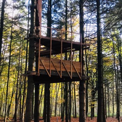 La cabane de Clichy-Sous-Bois.