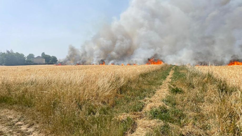 Un câble à haute-tension rompu par la chaleur : 40 hectares brûlés à Sandillon