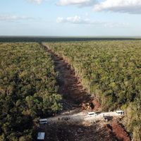 En mars 2022, des militants de Greenpeace s'étaient enchaînés à des machines sur le chantier du "train maya".