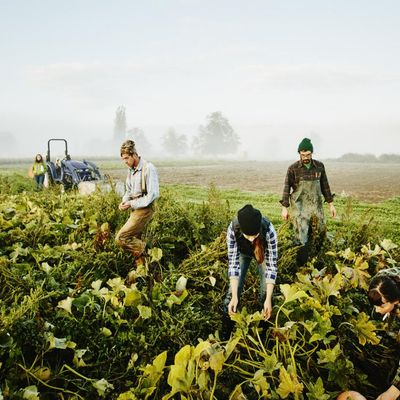 La péninsule italienne manque de saisonniers pour l'été. 40% pour la saison estivale qui a déjà commencé. (Illustration)