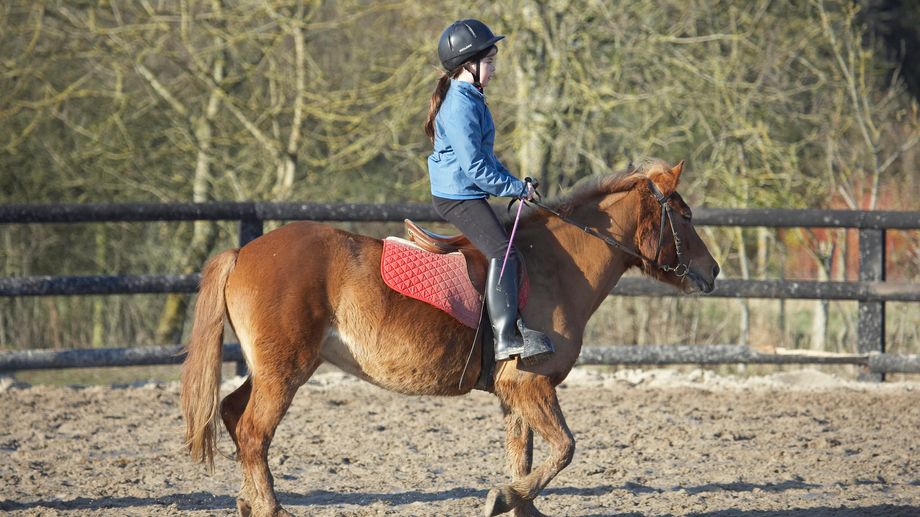 La Buisse : une cavali�re de 12 ans meurt sous les sabots de son cheval, une enqu�te est ouverte