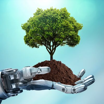 Lorsque l'on s’inscrit dans une démarche low-tech, on réduit l’impact environnemental, on adopte la notion d'autonomie.