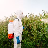L’utilisation des pesticides en France a augmenté de 25 % en une décennie.