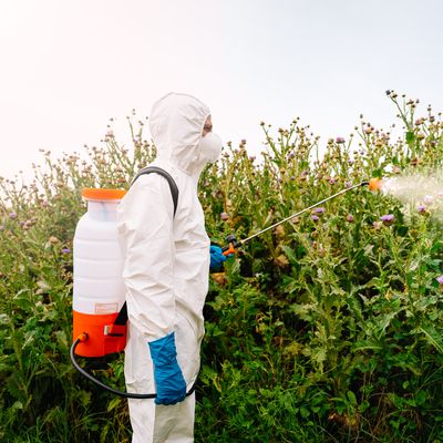 L’utilisation des pesticides en France a augmenté de 25 % en une décennie.