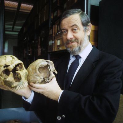 Le paléontologue Yves Coppens au Musée de l'Homme en 1984