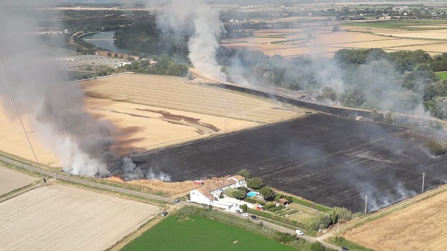 PHOTOS - Une dizaine d'hectares de cultures détruits par un incendie à Saint-Gilles