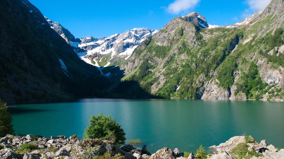 Une esp�ce de champignon jusqu'ici inconnue d�couverte au Lauvitel dans les �crins