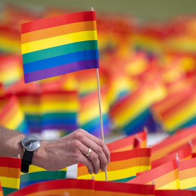 Drapeaux LGBT