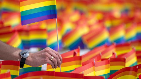 Drapeaux LGBT ©AFP - Monika Skolimowska / DPA